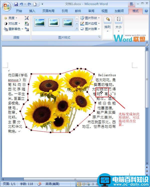 在Word2007中如何让文字紧挨图片