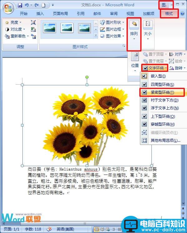 在Word2007中如何让文字紧挨图片