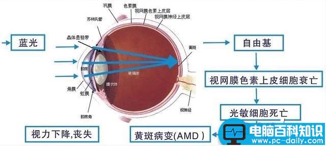 护眼显示器