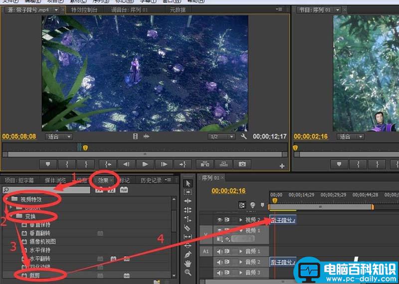 premiere,视频,字幕