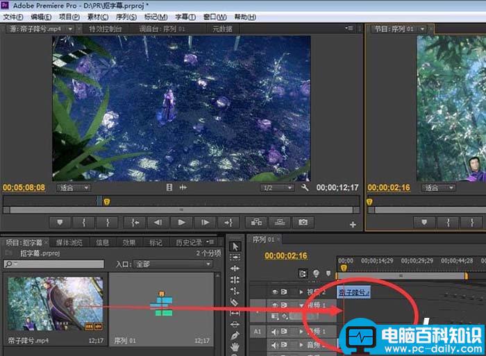 premiere,视频,字幕