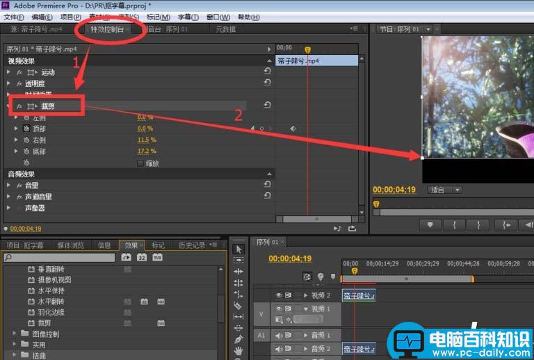 premiere,视频,字幕