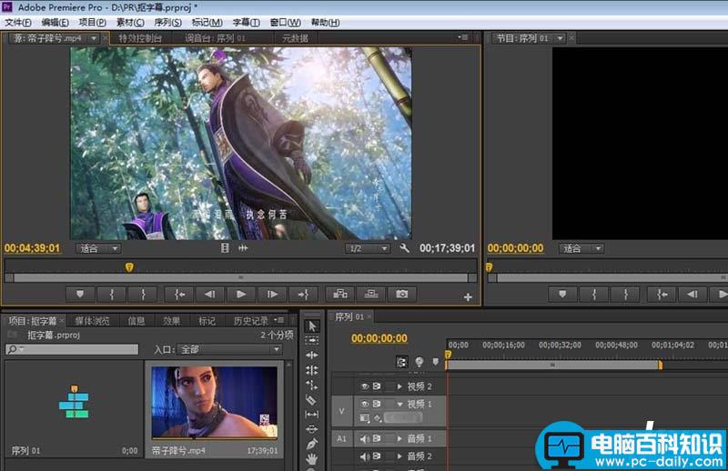 premiere,视频,字幕
