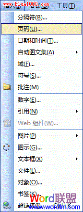 Word2003文档如何添加页码