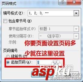 Word2007怎样从任意页开始设置页