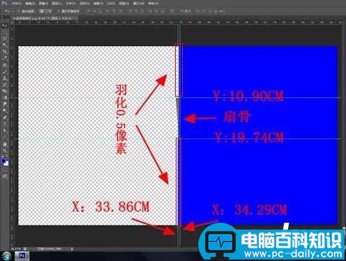 会声会影,动画