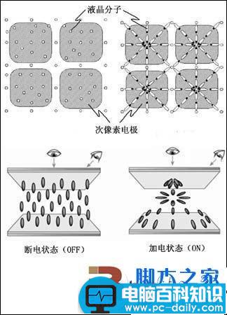 显示屏,硬屏,软屏,区别