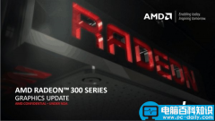 一大波AMD 300系列非公产品序列、发售时间以及参考价格曝光