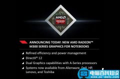 AMD 300系列桌面显卡发布了:仅供OEM市场