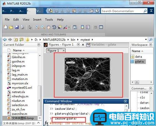 matlab,图像,灰度化