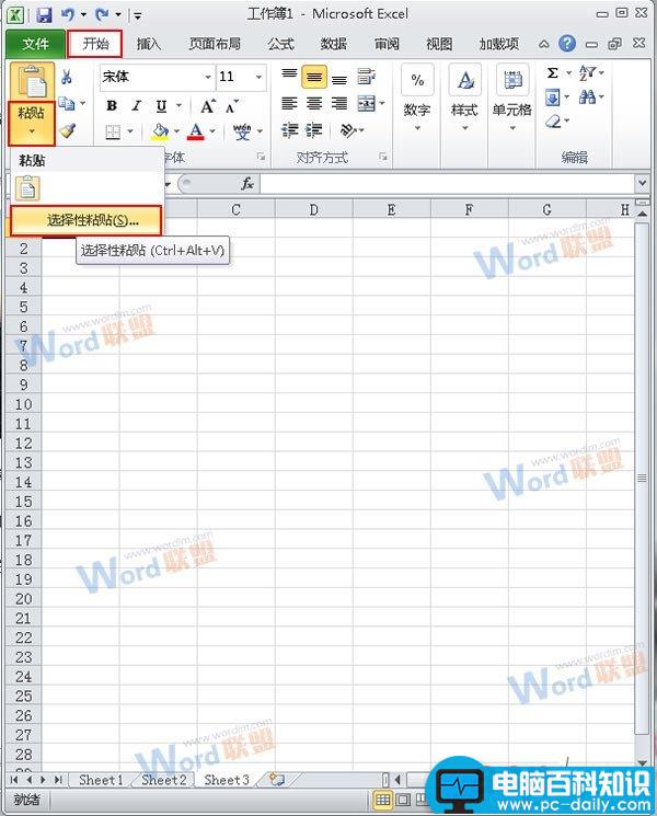 怎么把Word的内容以图片格式插入到Excel2010中?