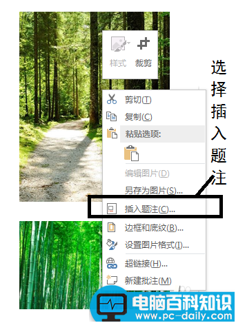 word2013给图片进行自动编号方法介绍