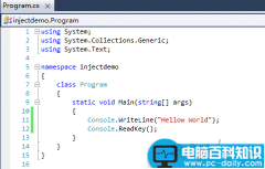 Reflector reflexil爆破软件使用图文实例