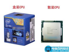 CPU盒装和散装哪个好？cpu散装与盒装的区别对比介绍