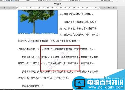 Word文档怎么给图片加水印