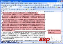 在Word2003中使用Word文档批注功能