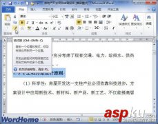 在Word2010文档中使用格式刷工具