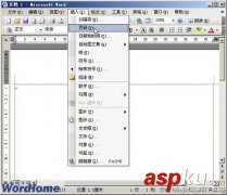 Word2003文档中插入页码