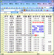 怎么在Excel中冻结行列标题？