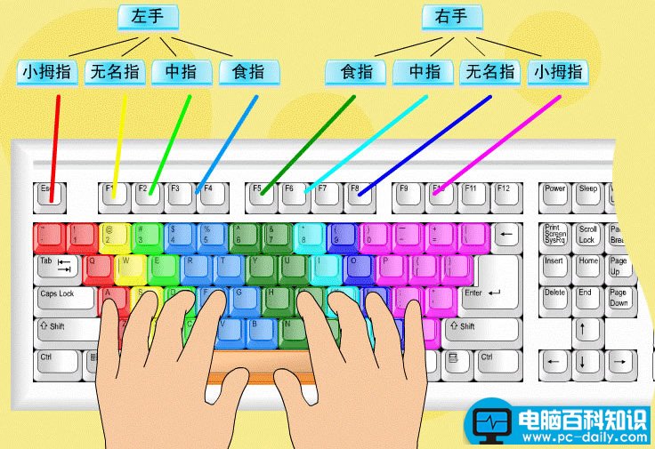 电脑键盘指法图图片（正确指法图）