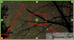 小编详解tim加好友功能