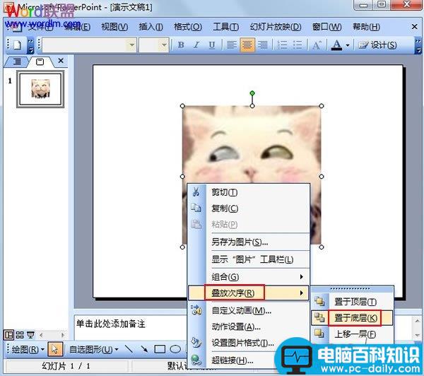 将PowerPoint2003图片置于底层，不覆盖文字