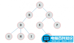 排序二叉树的构造过程（一文搞定二叉树）