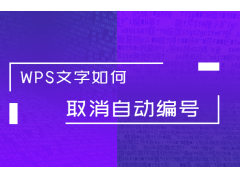 wps自动编号怎么取消（WPS文字如何取消自动编号）