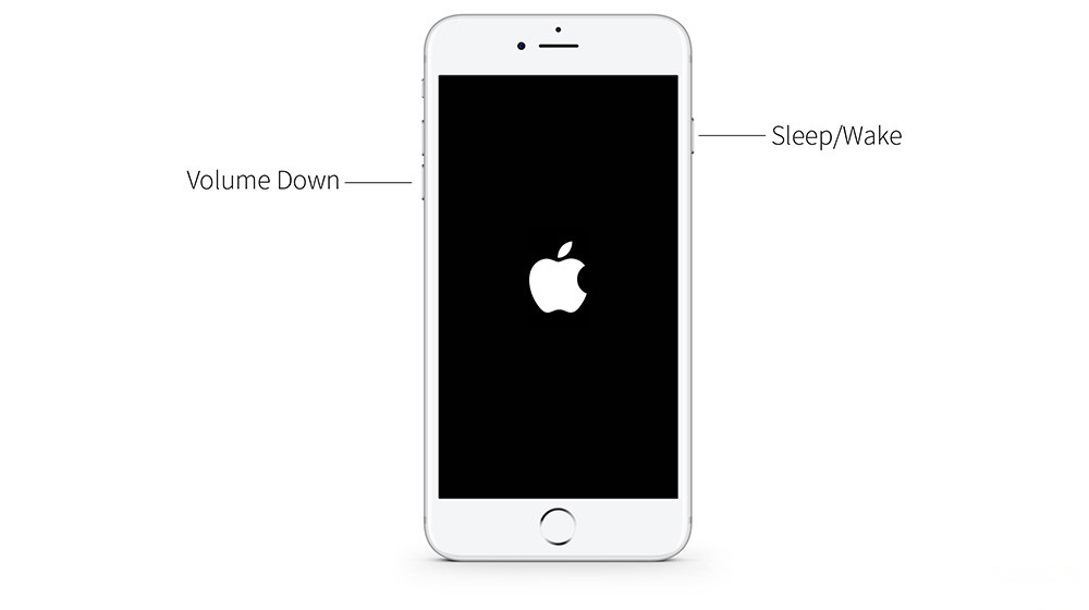 苹果xr怎么重启（Phone XS/XS Max/XR强制重启具体操作）(2)