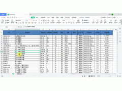 wps表格打印预览在哪（WPS Excel 如何使用表格分页预览功能）
