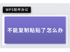 wps不能粘贴（wps突然无法复制粘贴怎么办）