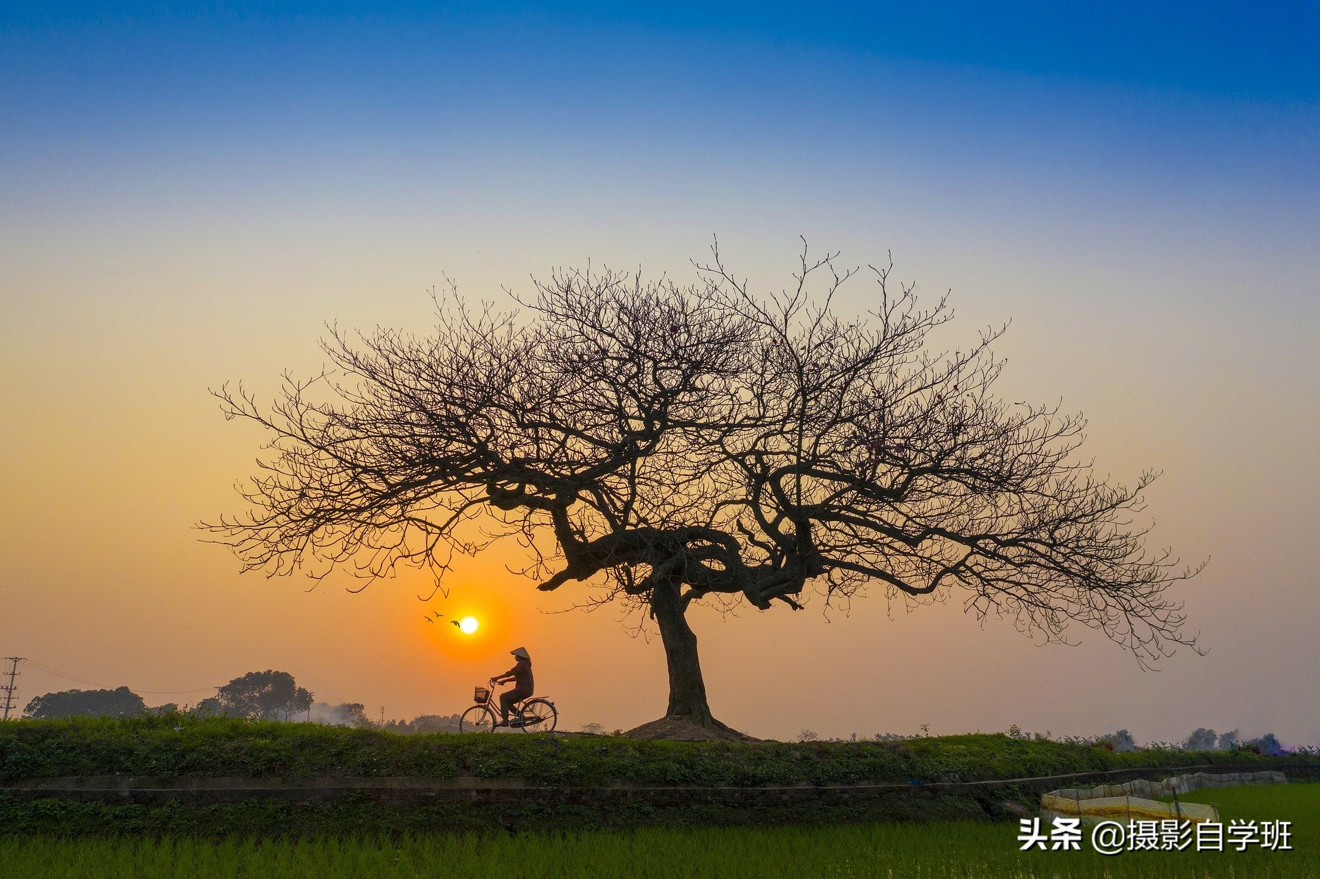 摄影入门技巧（风景人像拍摄技巧图解）(10)