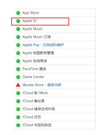 苹果手机连接服务器时出现问题（连接apple id服务器出错怎么办）(4)