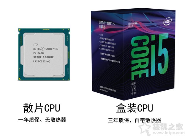 cpu散片是什么意思（散装CPU与盒装CPU有什么区别）(1)