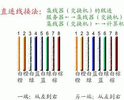 怎么接网线（手把手教你怎么接网线）(3)