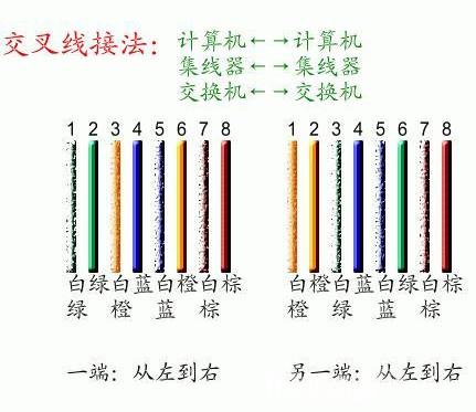 怎么接网线（手把手教你怎么接网线）(4)