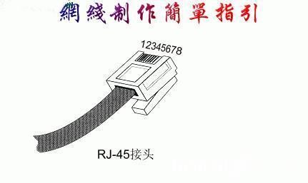 怎么接网线（手把手教你怎么接网线）(1)