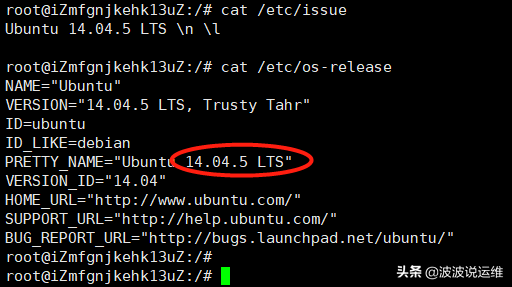 查看ubuntu版本（详解三个方法查看ubuntu系统版本信息）(4)