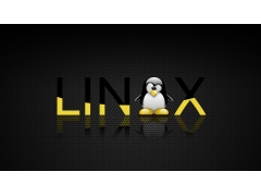 linux删除命令（在 Linux 终端中删除文件和文件夹）