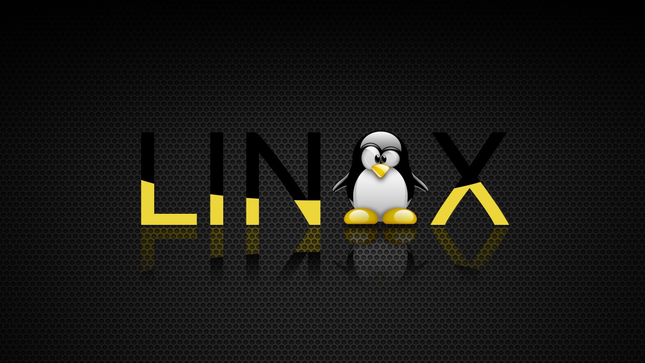 linux删除命令（在 Linux 终端中删除文件和文件夹）(1)
