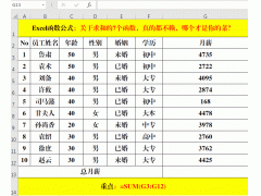 excel求和公式怎么用（求和函数的方法和步骤）