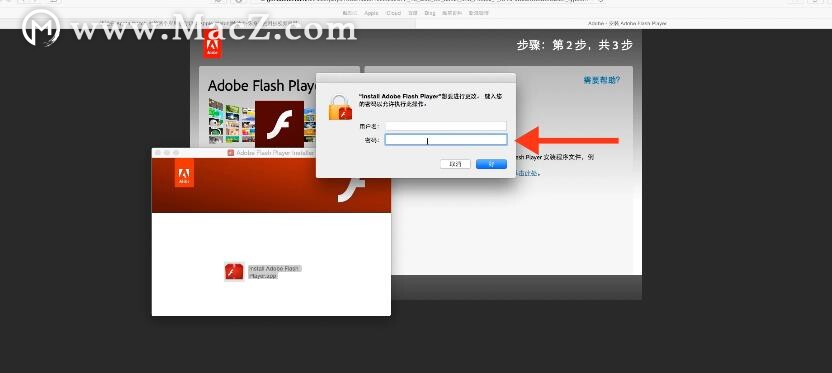 浏览器怎么安装flash插件（如何为Safari浏览器安装Flash插件）(7)