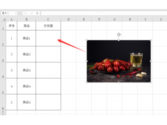 excel单元格插入图片（excel如何快速把图片插入单元格）