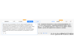 电脑翻译软件哪个好（翻译软件最好用的是哪个）