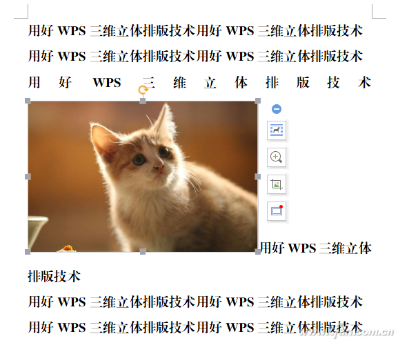 wps如何排版图片（用好WPS多维度复合排版）(2)