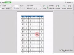 wps表格怎么把两页合成一页（怎么把两页表格打印到一张纸上）