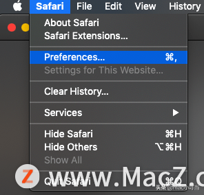 mac打不开safari（safari找不到服务器怎么办）(2)