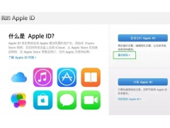 苹果id忘记密码怎么办（Apple ID密码忘记了教你如何找回）