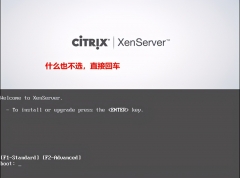 xenserver安装教程（专业虚拟化Citrix XenServer系统安装与网络配置）