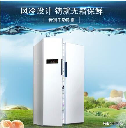 冰箱十大品牌排名（国内十大冰箱品牌排行榜您知道几个）(4)